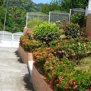  Appartement Allée Des Ixoras Martinique