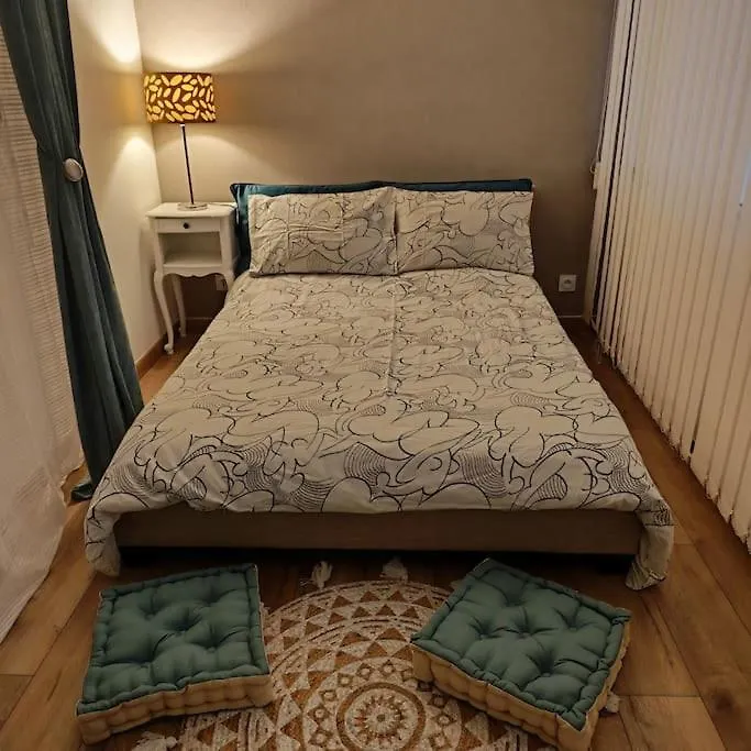 Apartment Superbe Cosy Duplex Appartement T3 Charpenne Tete D'Or Avec Parking Prive Gratuit Villeurbanne France