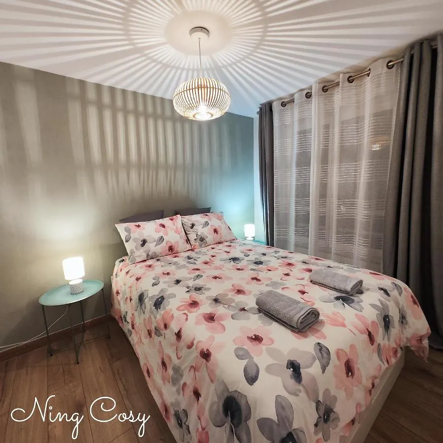 Apartment Superbe Cosy Duplex Appartement T3 Charpenne Tete D'Or Avec Parking Prive Gratuit Villeurbanne