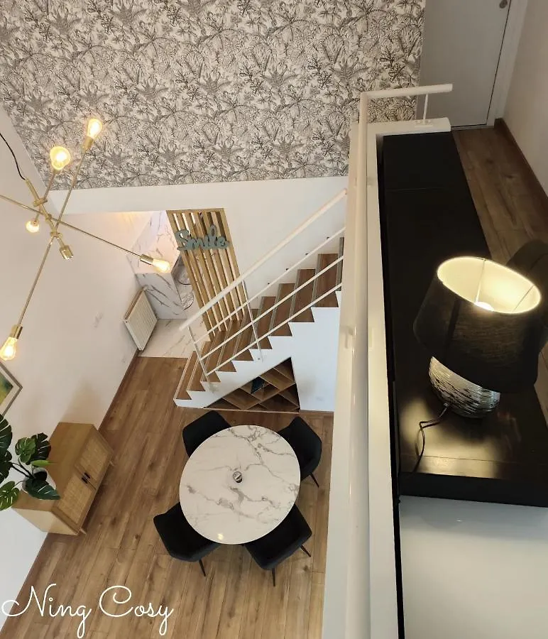 Superbe Cosy Duplex Appartement T3 Charpenne Tete D'Or Avec Parking Prive Gratuit Villeurbanne Apartment