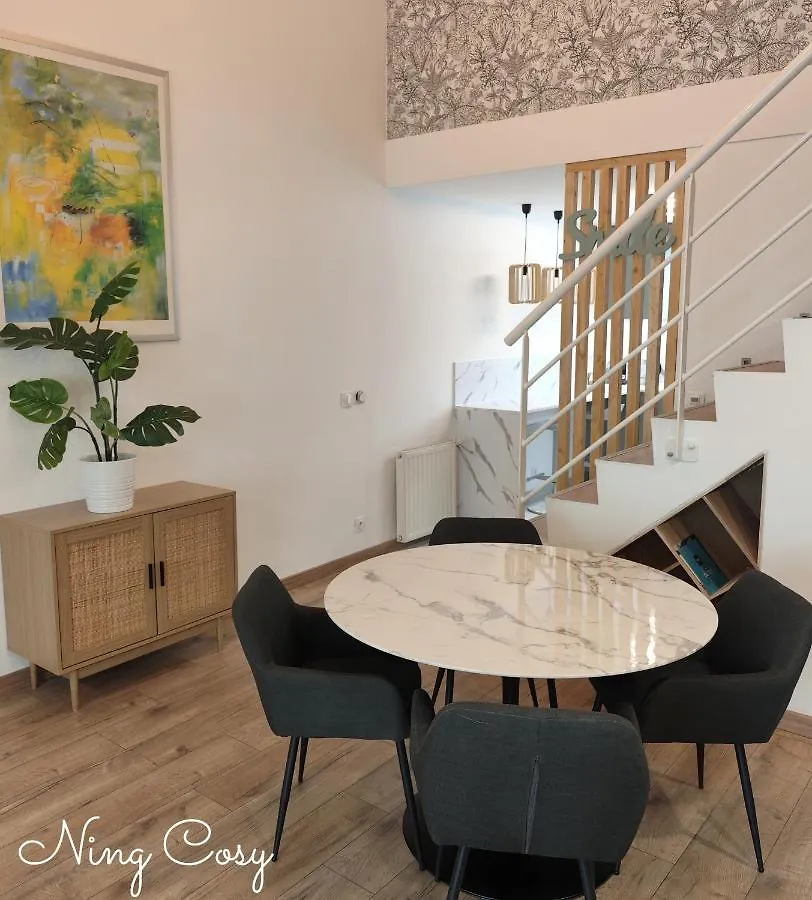 Apartament Superbe Cosy Duplex Appartement T3 Charpenne Tete D'Or Avec Parking Prive Gratuit Villeurbanne