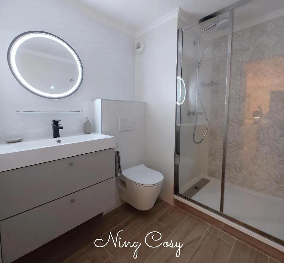 Superbe Cosy Duplex Appartement T3 Charpenne Tete D'Or Avec Parking Prive Gratuit Villeurbanne Apartment