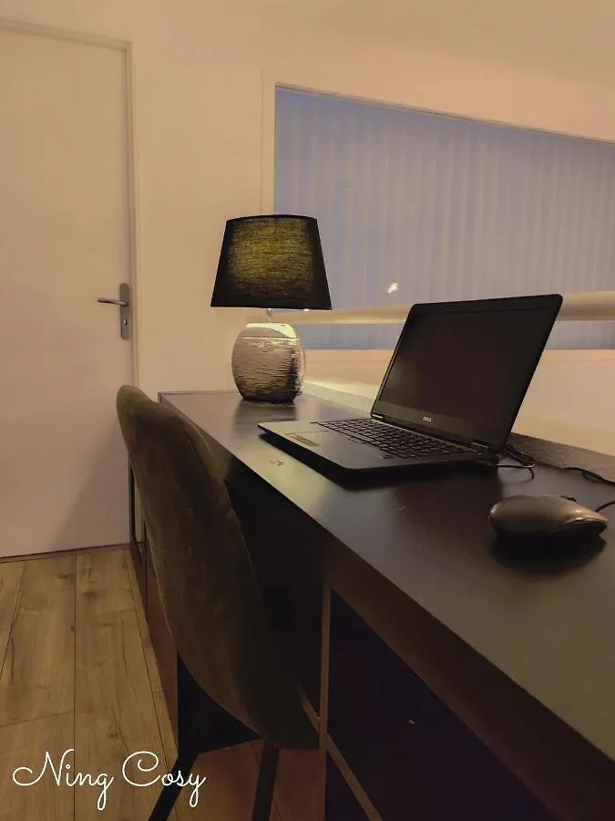 Superbe Cosy Duplex Appartement T3 Charpenne Tete D'Or Avec Parking Prive Gratuit Villeurbanne Apartament