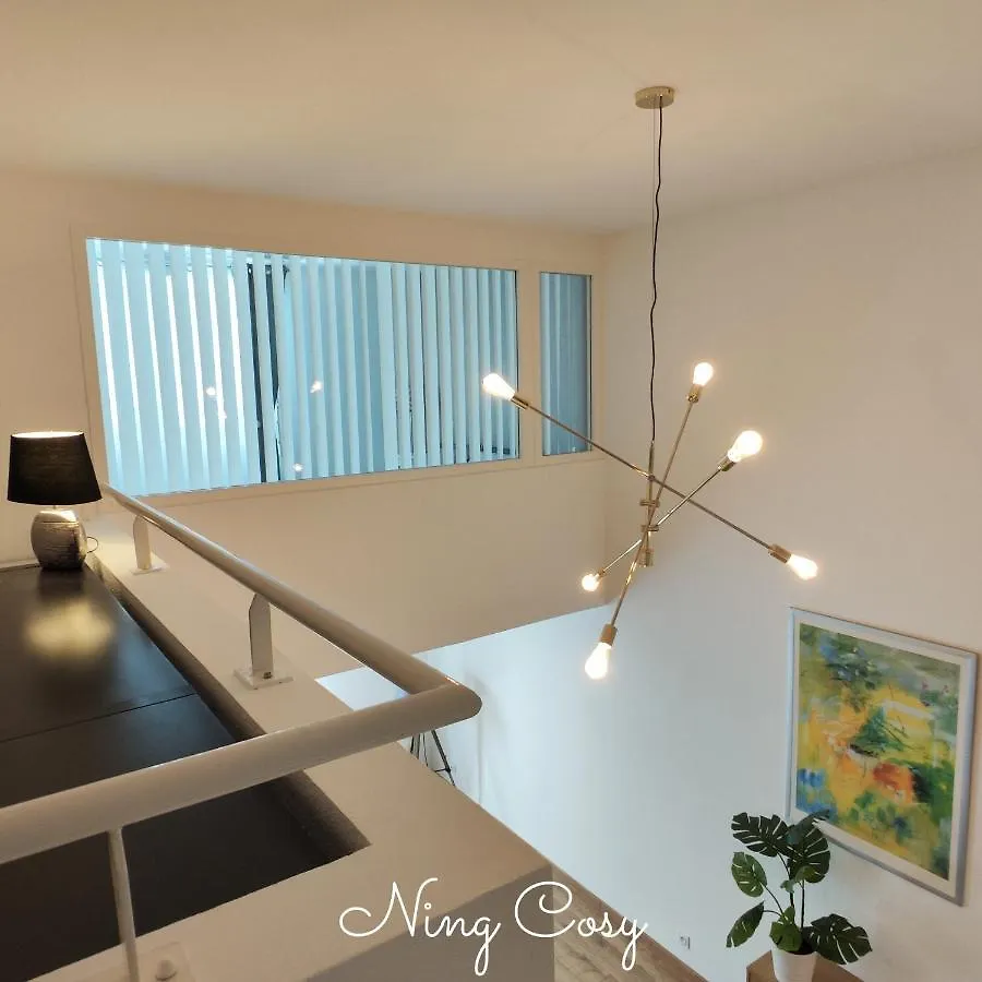 Superbe Cosy Duplex Appartement T3 Charpenne Tete D'Or Avec Parking Prive Gratuit Villeurbanne France