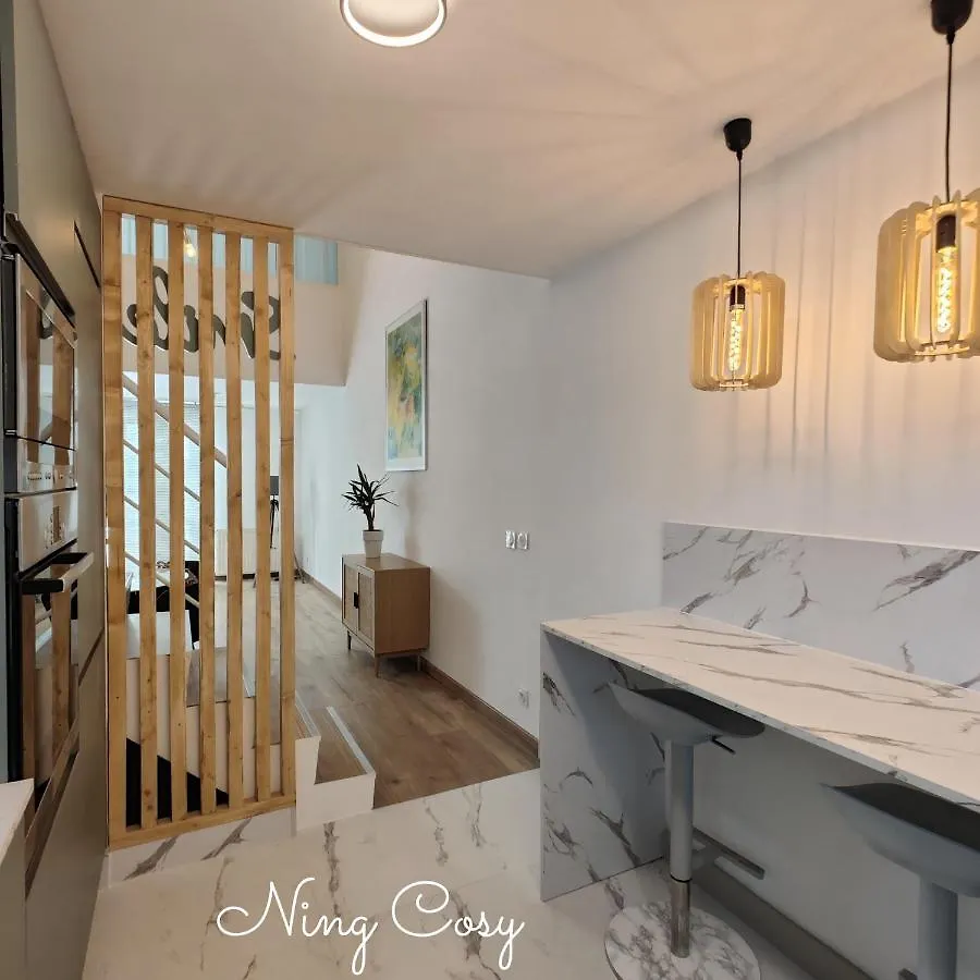 Superbe Cosy Duplex Appartement T3 Charpenne Tete D'Or Avec Parking Prive Gratuit Villeurbanne Apartment