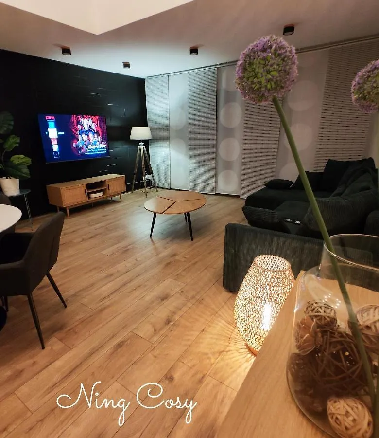 Superbe Cosy Duplex Appartement T3 Charpenne Tete D'Or Avec Parking Prive Gratuit Villeurbanne 0*,