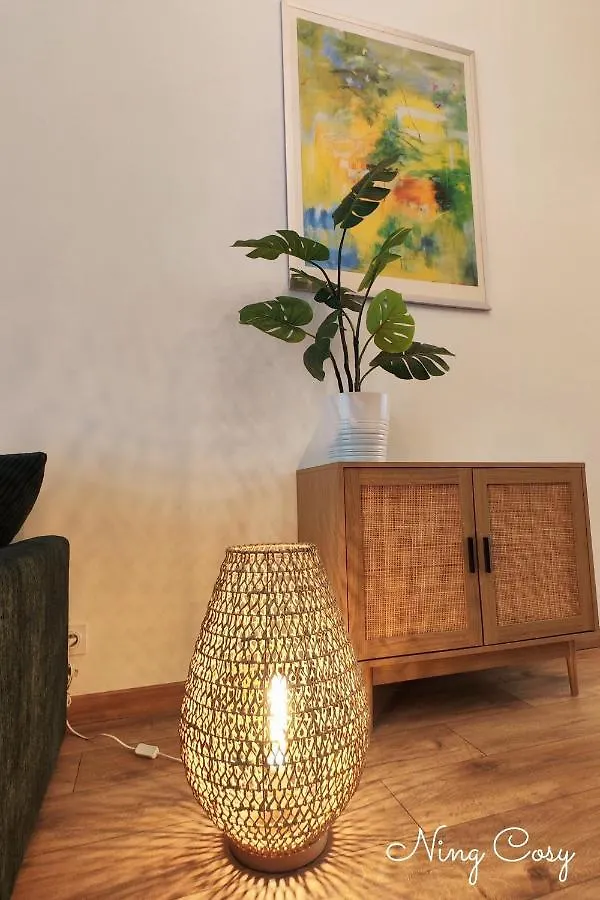 Superbe Cosy Duplex Appartement T3 Charpenne Tete D'Or Avec Parking Prive Gratuit Villeurbanne France