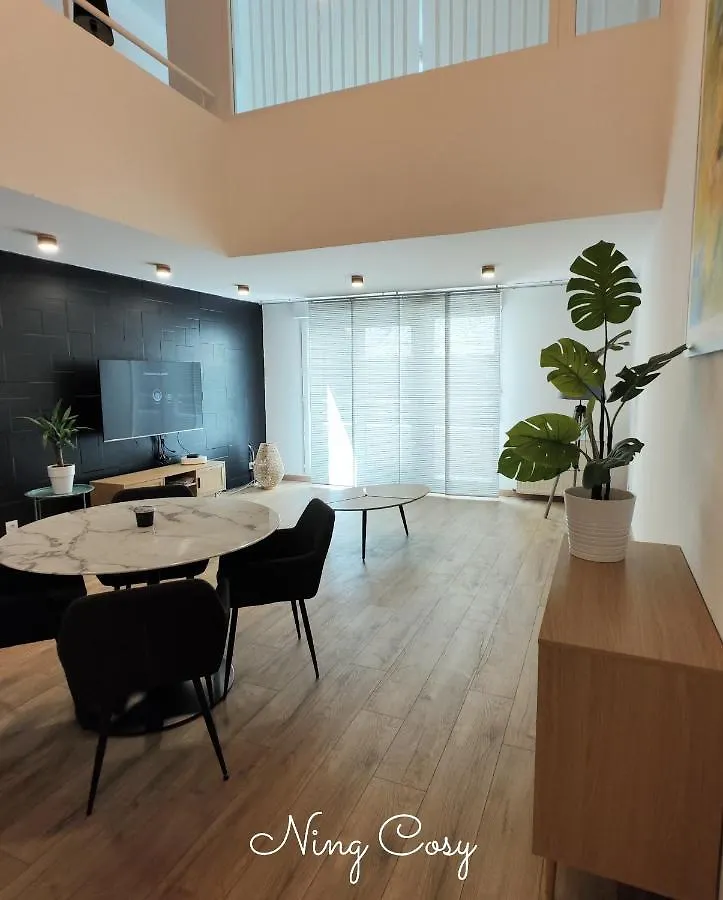 Superbe Cosy Duplex Appartement T3 Charpenne Tete D'Or Avec Parking Prive Gratuit Villeurbanne 0*,  France