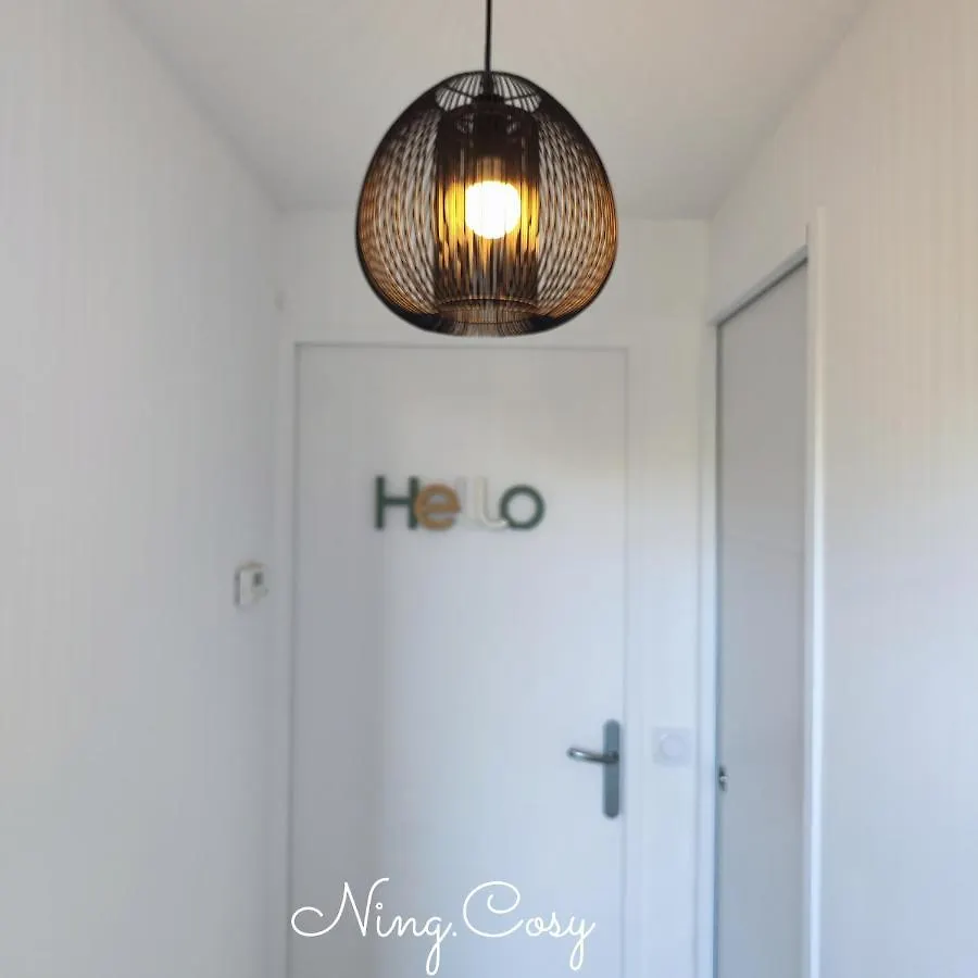 Superbe Cosy Duplex Appartement T3 Charpenne Tete D'Or Avec Parking Prive Gratuit Villeurbanne Apartment